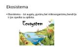 Ekosistema – svarbus biologinis vienetas 2 puslapis