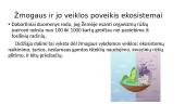 Ekosistema – svarbus biologinis vienetas 12 puslapis