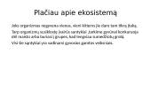 Ekosistema – svarbus biologinis vienetas 4 puslapis