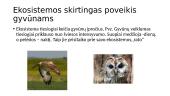 Ekosistema – svarbus biologinis vienetas 6 puslapis
