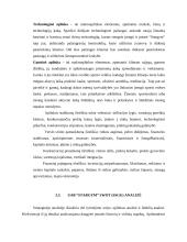 Sporto klubo „Stargym“ verslo planas  12 puslapis