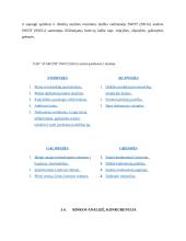 Sporto klubo „Stargym“ verslo planas  13 puslapis