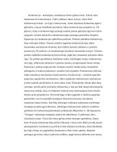 Sporto klubo „Stargym“ verslo planas  14 puslapis