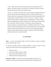 Sporto klubo „Stargym“ verslo planas  19 puslapis