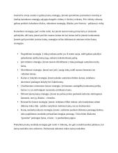 Sporto klubo „Stargym“ verslo planas  20 puslapis