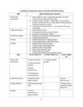 Įmonės ,,Neste Lietuva‘‘ marketinginės situacijos analizė 11 puslapis