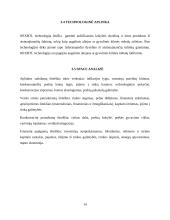 Įmonės ,,Neste Lietuva‘‘ marketinginės situacijos analizė 14 puslapis