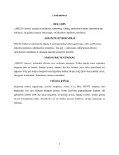 Įmonės ,,Neste Lietuva‘‘ marketinginės situacijos analizė 9 puslapis