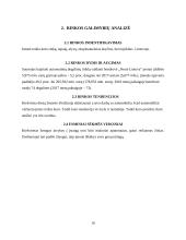 Įmonės ,,Neste Lietuva‘‘ marketinginės situacijos analizė 10 puslapis