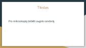 Augalo tyrimas 2 puslapis