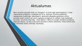 Fizinis smurtas Antano Škėmos romane „Balta drobulė“ 5 puslapis
