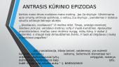 Fizinis smurtas Antano Škėmos romane „Balta drobulė“ 7 puslapis