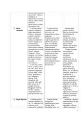 Civilinės teisės reikšmė, normos 4 puslapis