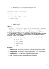 Civilinės teisės reikšmė, normos 6 puslapis