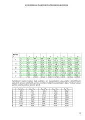 Dinaminis pasas 13 puslapis