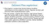 Kokie negalavimai būdingi Pitos tipo žmonėms ir kaip jų išvengti parenkant tinkamą dienos režimą 6 puslapis