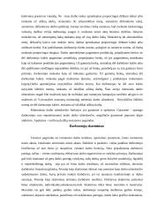 Darbo skatinimas ir apmokėjimas 4 puslapis