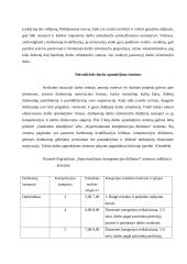 Darbo apmokėjimo sistemos bei jų principai 15 puslapis