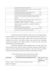 Darbo apmokėjimo sistemos bei jų principai 6 puslapis