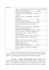 Darbo apmokėjimo sistemos bei jų principai 7 puslapis