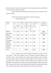 Darbo apmokėjimo sistemos bei jų principai 8 puslapis