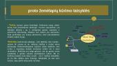 Minčių žemėlapio „mind-mapping“ metodas 9 puslapis