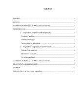 Lietuvos gyventojų emigracijos analizė 2 puslapis