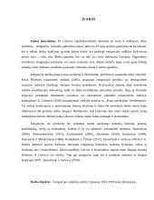 Lietuvos gyventojų emigracijos analizė 3 puslapis