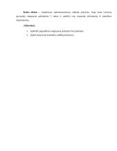 Lietuvos gyventojų emigracijos analizė 4 puslapis