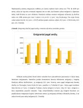 Lietuvos gyventojų emigracijos analizė 10 puslapis