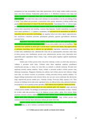 Civilinio proceso teisės paskaitų teorija 13 puslapis