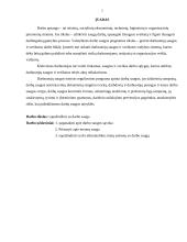 Darbo saugos taisyklės 2 puslapis