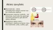 Akis kaip optinis prietaisas 4 puslapis