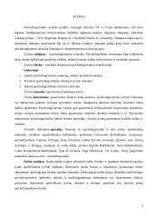 Psicholingvistikos mokslas 2 puslapis