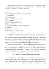 Psicholingvistikos mokslas 8 puslapis