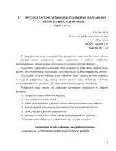 Darbo saugos tarnyba 12 puslapis