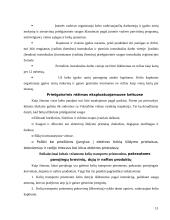 Darbo saugos tarnyba 13 puslapis