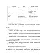 Darbo saugos tarnyba 16 puslapis