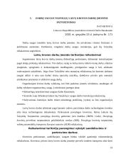 Darbo saugos tarnyba 19 puslapis