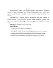 Darbo saugos tarnyba 3 puslapis