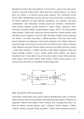 Multiplikacijos teorija 8 puslapis