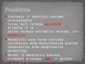 Dalyvis - pusdalyvis - padalyvis 4 puslapis