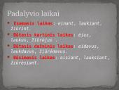 Dalyvis - pusdalyvis - padalyvis 7 puslapis