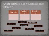 Dalyvis - pusdalyvis - padalyvis 8 puslapis