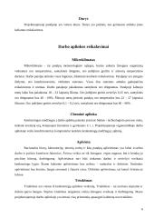 Darbo vietos ir darbinės aplinkos projektavimas 6 puslapis