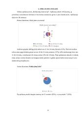 Darbuotojų motyvavimas - svarba bei reikšmė organizacijoje 13 puslapis