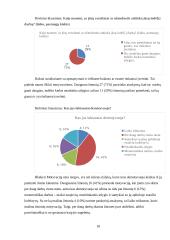 Darbuotojų motyvavimas - svarba bei reikšmė organizacijoje 17 puslapis