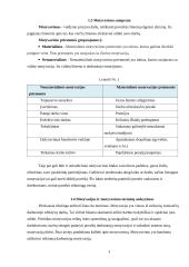 Darbuotojų motyvavimas - svarba bei reikšmė organizacijoje 4 puslapis