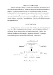 Darbuotojų motyvavimas - svarba bei reikšmė organizacijoje 5 puslapis