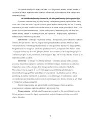 Darbuotojų motyvavimas - svarba bei reikšmė organizacijoje 8 puslapis